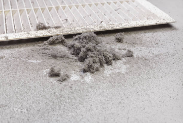 Best HVAC Duct Inspection Services  in Victory Lakes, NJ