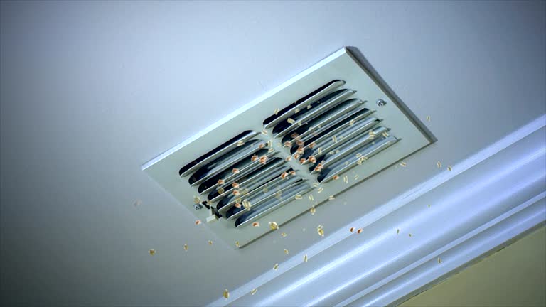 Best Commercial Air Duct Cleaning  in Victory Lakes, NJ