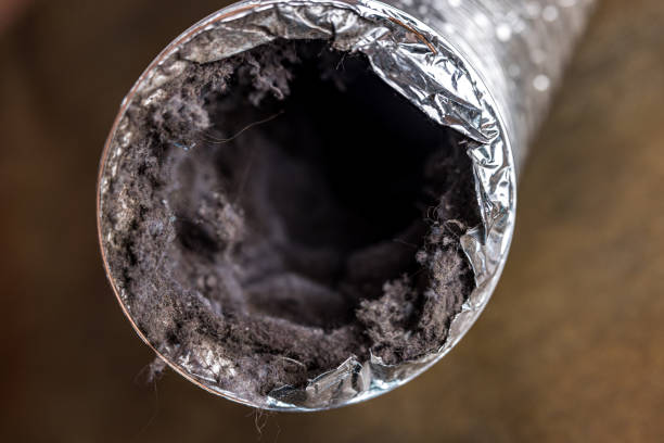 Best Ductwork Cleaning Services  in Victory Lakes, NJ